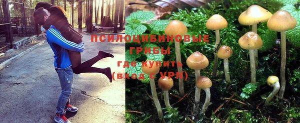 шишки Горнозаводск