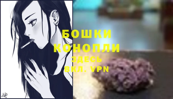 шишки Горнозаводск