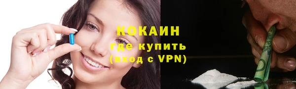 шишки Горнозаводск