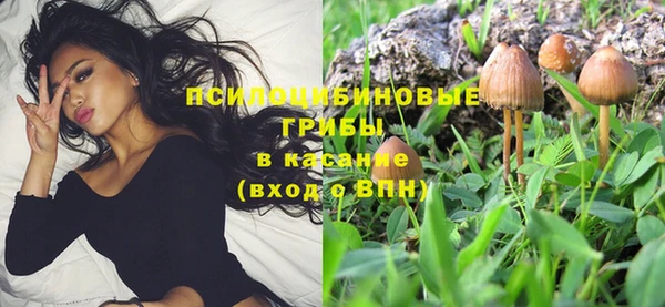 ALPHA-PVP Горняк