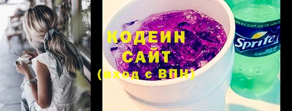шишки Горнозаводск