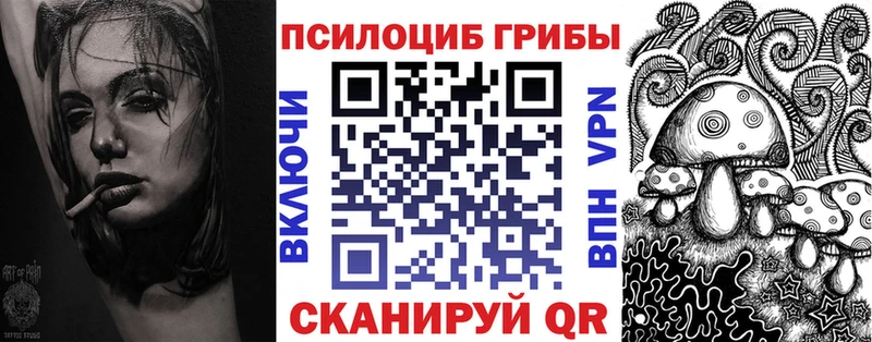 Галлюциногенные грибы Psilocybe  Купить  Лесосибирск 