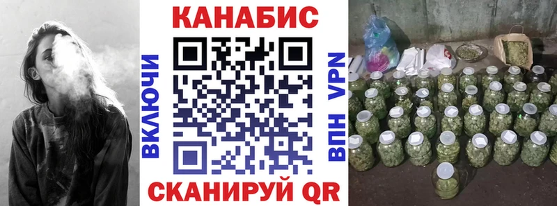 Канабис сатива  Купить закладки  Лесосибирск 